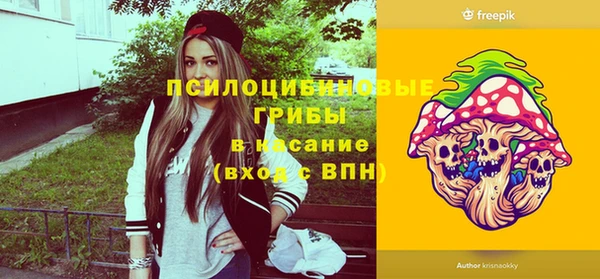крисы Красноперекопск