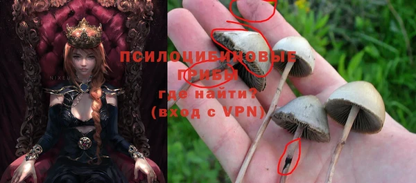 крисы Красноперекопск