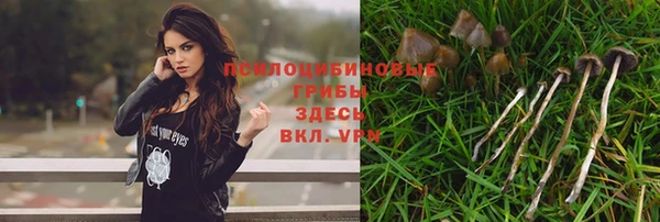 герыч Краснотурьинск