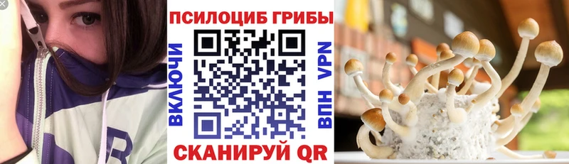 Псилоцибиновые грибы Psilocybine cubensis  Купить  Самара 